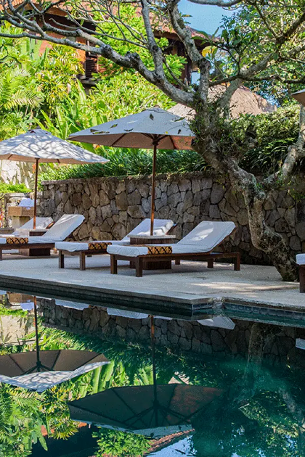 Komaneka at Monkey Forest Promotion