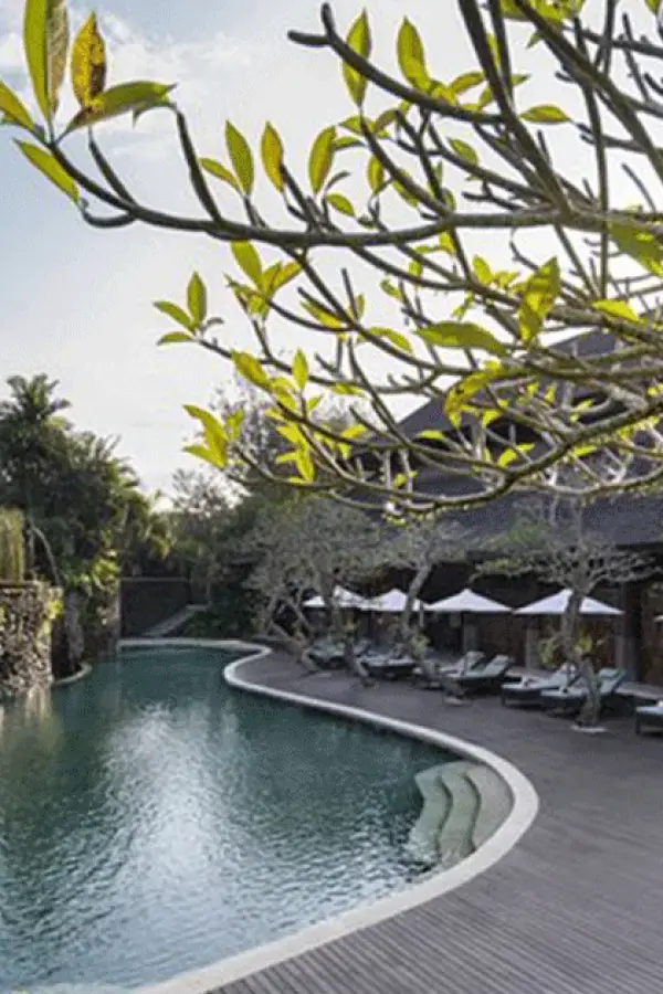 Desa Visesa Ubud Promotion