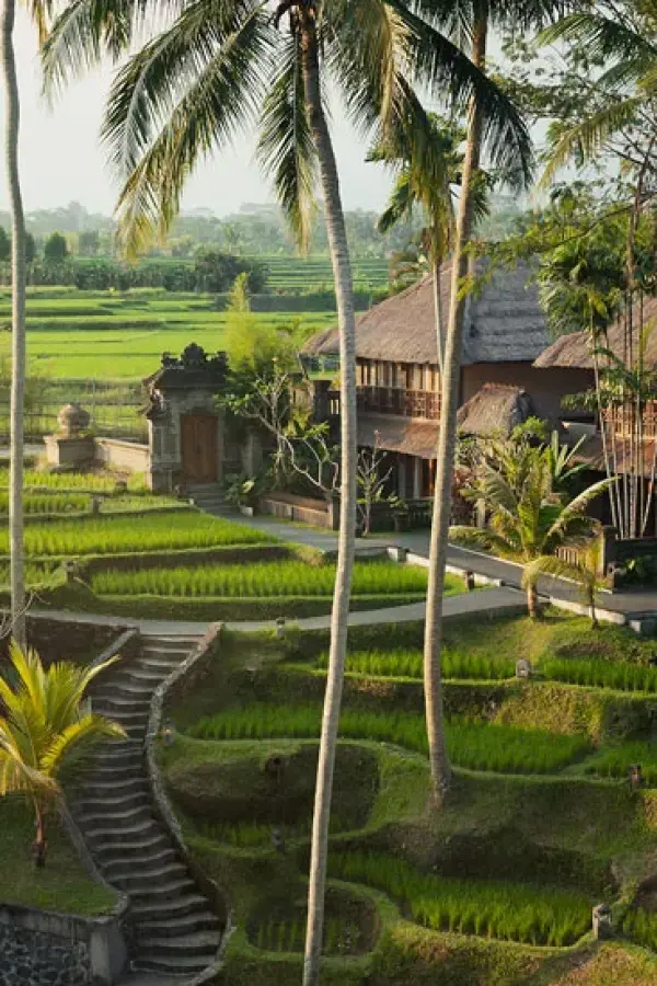 Kamandalu Ubud Promotion