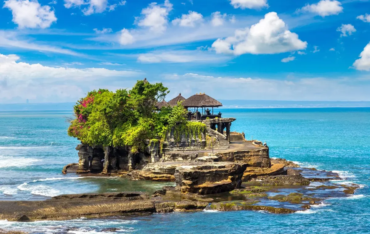 One Day Tour - Tanah Lot Temple - Tegalalang Terrace Club