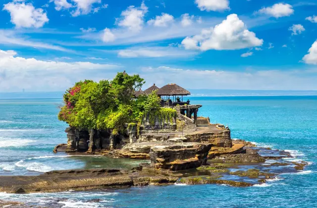 One Day Tour - Tanah Lot Temple - Tegalalang Terrace Club