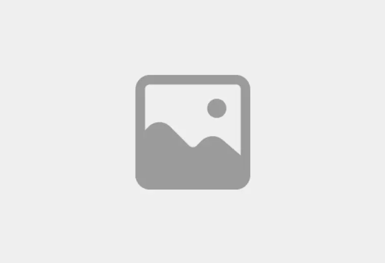 Curated Activities