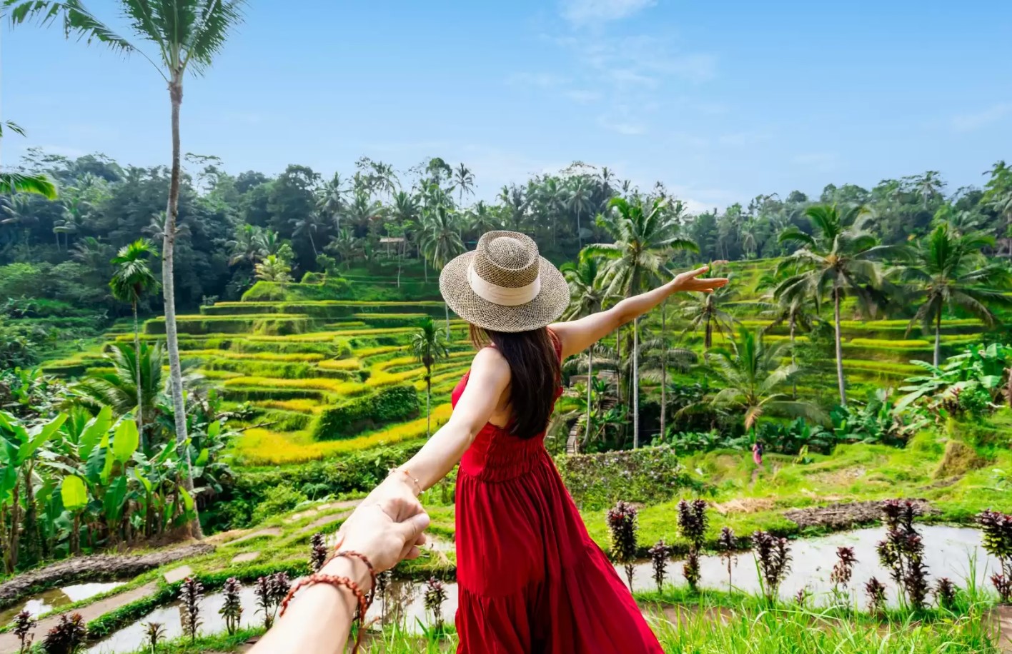 Tegalalang Rice Terrace