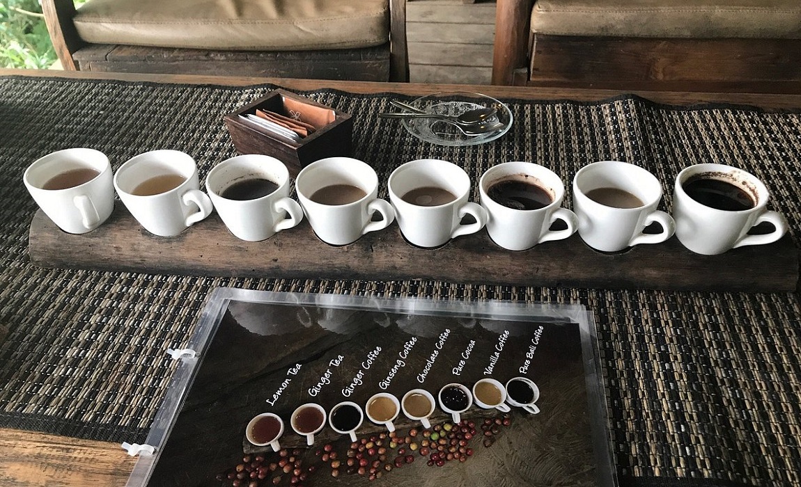 Bali Specialty Coffee