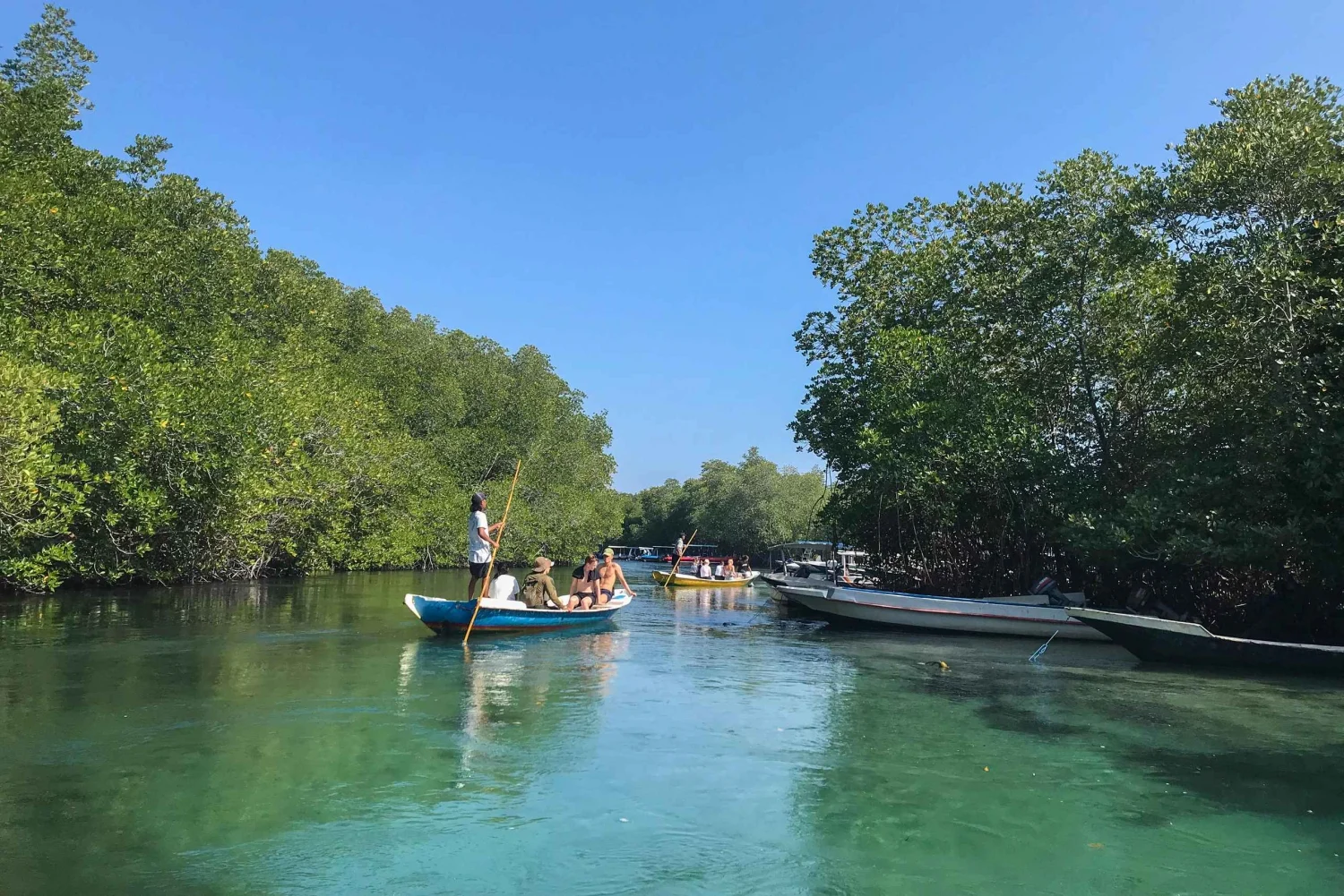 Mangrove Nusa Lembongan